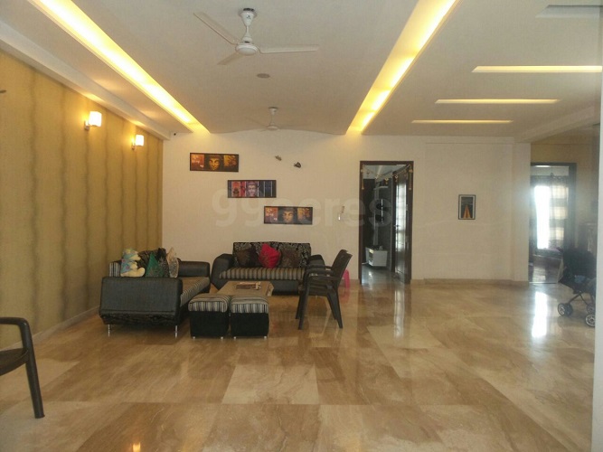 Completed Project Images